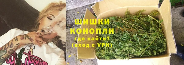 сатива Белоозёрский